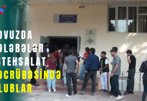 Tovuzda tələbələr istehsalat təcrübəsində olublar