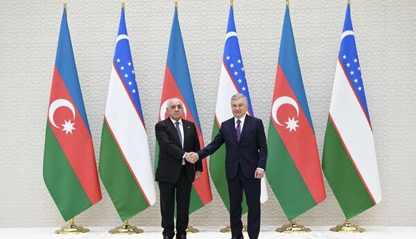 Əli Əsədov Özbəkistan Prezidenti ilə görüşüb