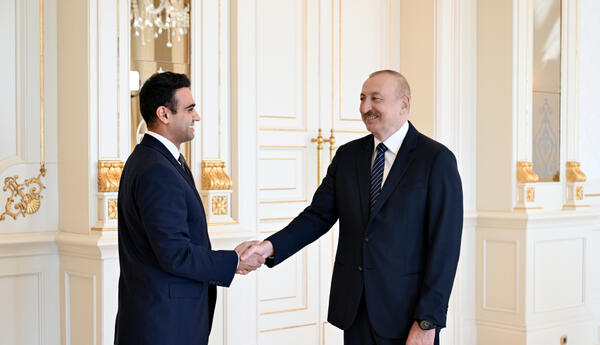 President Ilham Aliyev receives Member of US House of Representatives