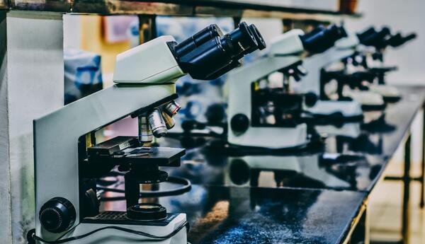 Dual Peptide Signaling: Sermorelin and GHRP-6 Blend Research