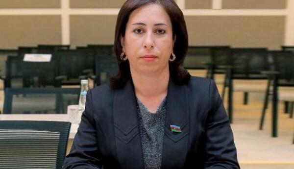 Azərbaycanın milli maraqları naminə hərbi əməkdaşlığı <span class="red">- ŞƏRH</span>