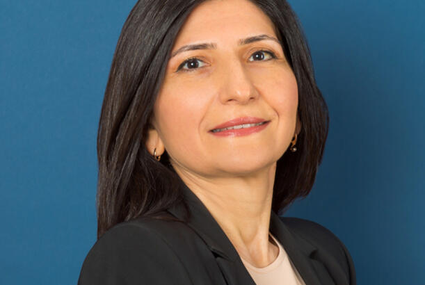 “Media sahəsində yeni dəyişikliklər institusional idarəetmənin təkmilləşdirilməsinə xidmət edir” - Sevil Mikayılova