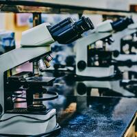 Dual Peptide Signaling: Sermorelin and GHRP-6 Blend Research