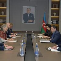 Магдалена Гроно подвела итоги переговоров с официальными лицами Азербайджана