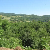 Azərbaycanın flora və bitkiliyinin genezisi dəqiqləşdirilib
