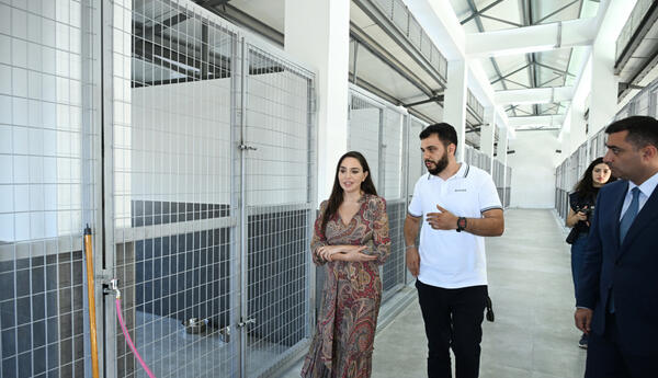 Leyla Əliyeva Yevlaxda Sahibsiz Heyvanlara Qayğı Mərkəzinin regional bölməsinin açılışında iştirak edib <span class="red">- FOTOLAR</span>