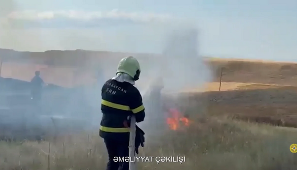 Qazaxda taxıl sahəsi yanıb