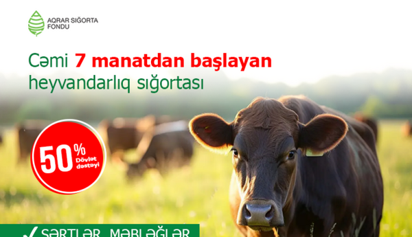 Yarısını dövlət ödəyir - mal-qara sığortası neçəyə başa gəlir?