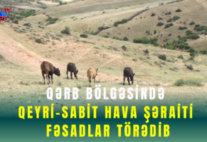 Qərb bölgəsində qeyri-sabit hava şəraiti fəsadlar törədib – SON DƏQİQƏ!
