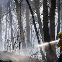 Spain wildfire kills 12, injures six in Almería