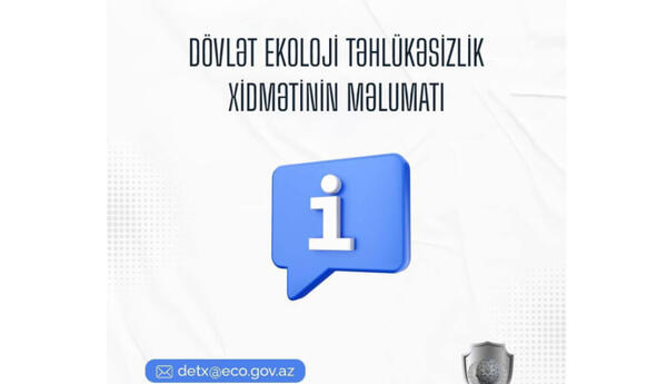 Ağacların qanunsuz kəsilməsi faktları aşkarlanıb