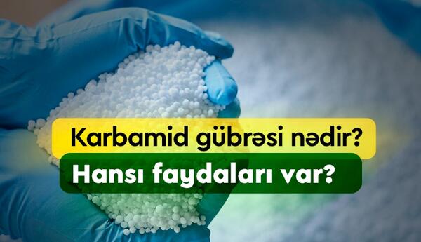 “Karbamid istehsalı enerji tutumlu prosesdir” <span class="red">- EKSPERT DANIŞDI</span>