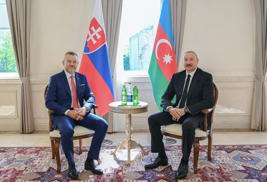 Azərbaycan və Slovakiya prezidentləri mətbuata bəyanatlarla çıxış ediblər - YENİLƏNİR