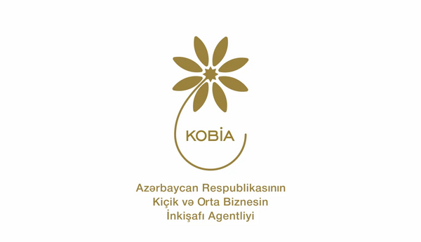 Bu ilin I yarısında KOB evlərində sahibkarlara 312 mindən çox xidmət göstərilib