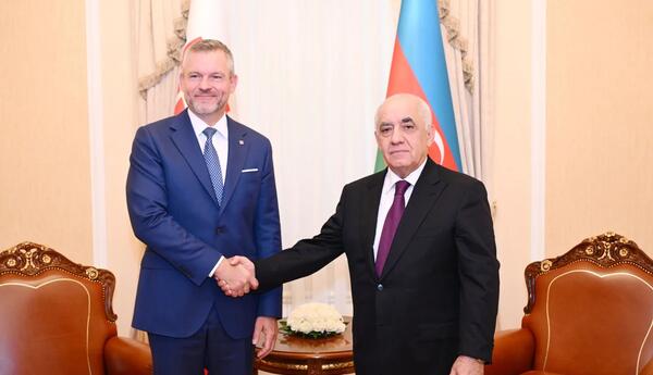 Əli Əsədov Slovakiya Prezidenti ilə əməkdaşlığın genişləndirilməsini müzakirə edib