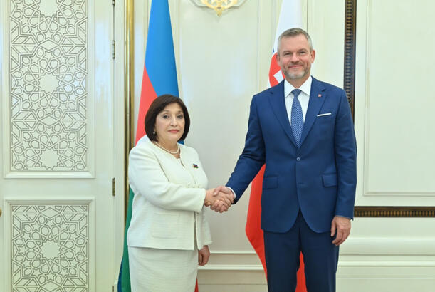 Prezident Peter Pelleqrini Milli Məclisdə olub