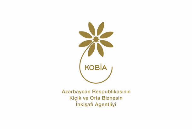 Bu ilin I yarısında KOB evlərində sahibkarlara 312 mindən çox xidmət göstərilib