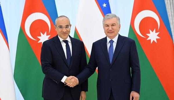 Mikayıl Cabbarov Şövkət Mirziyayevlə görüşüb
