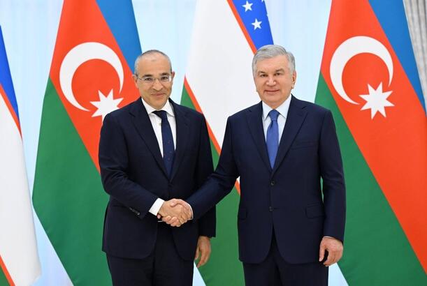 Mikayıl Cabbarov Şövkət Mirziyayevlə görüşüb