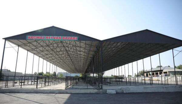 Xaçmazda heyvan bazarı fəaliyyətə başlayıb