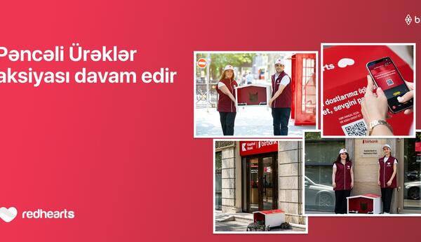 “Pəncəli Ürəklər” aksiyası çərçivəsində sahibsiz heyvanlar üçün yuvaların sayı 35-ə çatdı