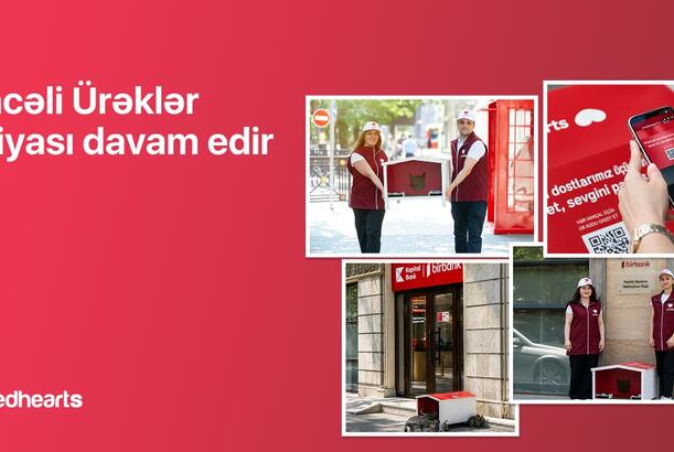 The number of shelters for stray animals reaches 35 under the “Pəncəli Ürəklər” campaign
