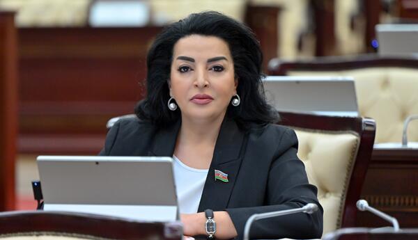 “Ana dilimiz milli kimliyimizin əsas dayağıdır” - DEPUTAT