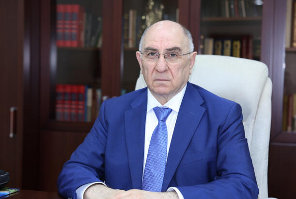 Rəqəmsal dövlətin mühüm missiyalarından biri də linqvistik suverenliyin təmin olunmasıdır - Akademik