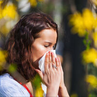 Yay allergiyaları: Risklər və onlardan qorunmaq yolları