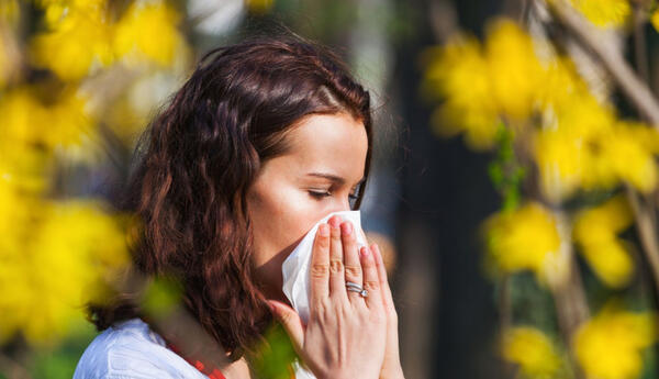 Yay allergiyaları: Risklər və onlardan qorunmaq yolları