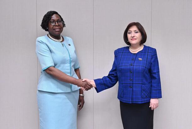 Sahibə Qafarova Mozambikin Baş naziri ilə görüşüb