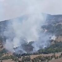 Bursada meşə yanğını başlayıb
