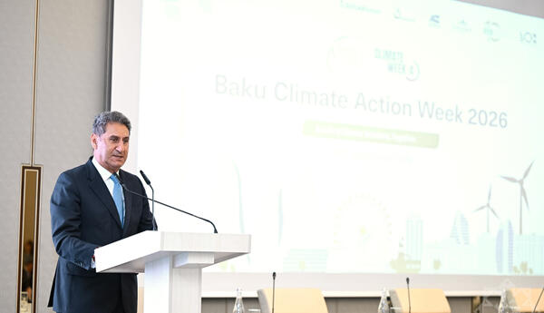 IRENA: Страны могут снизить зависимость от импортного топлива за счет электрификации