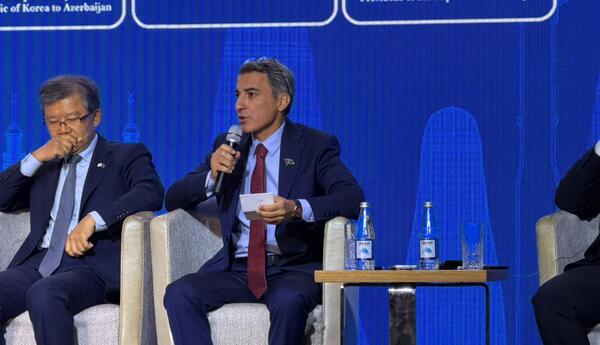 “AIDA layihələri üçün açıq çağırışlar elan edilə bilər” <span class="red">-FARİZ İSMAYILZADƏ</span>