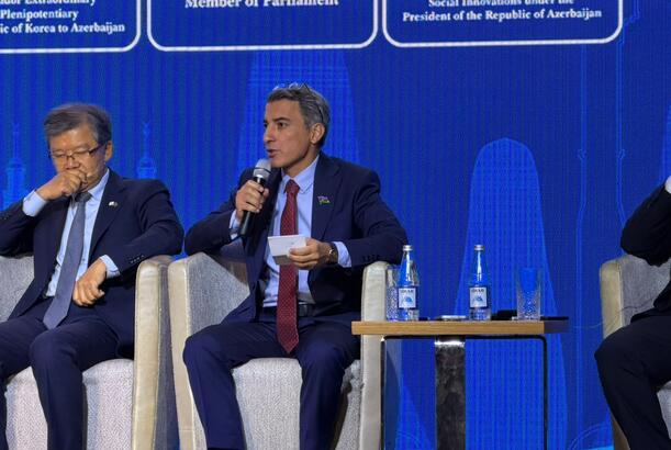 “AIDA layihələri üçün açıq çağırışlar elan edilə bilər” -FARİZ İSMAYILZADƏ