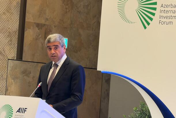 “İstedadlı kadrların hazırlanması universitetlərdə başlayır“ -ANAR ƏLİYEV
