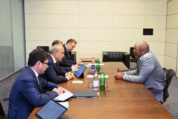 Azərbaycan ilə “Vista Equity Partners” arasında investisiya imkanları müzakirə olunub