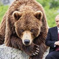 “Ay qadan alım, rus ayısı”nın qadasını ruslar daha alınmayacaq?..