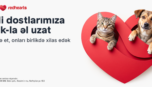“Pəncəli Ürəklər” aksiyasına qoşularaq sevgimizi dəstəyə çevirək