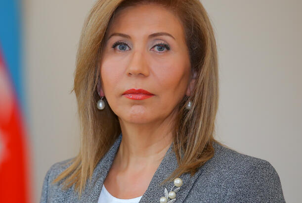“YAP fəaliyyətini müasir dövrün tələblərinə uyğun qurmalıdır” - Bahar Muradova 