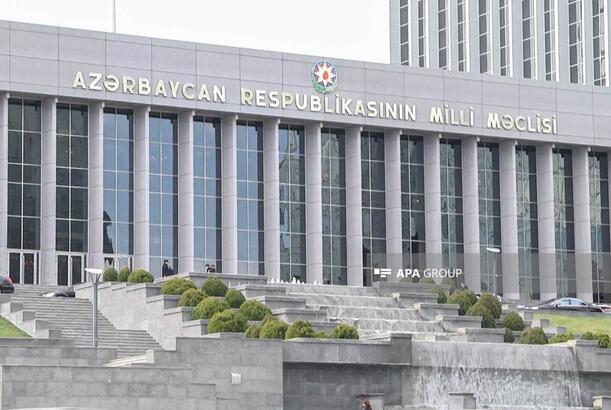 Avropa Parlamentinin qətnaməsi qərəzli siyasi aksiya kimi qiymətləndirilib