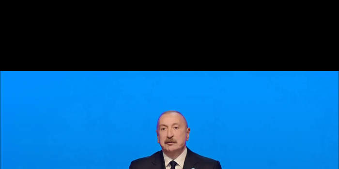 “Azərbaycanın iqtisadi potensialı beynəlxalq tərəfdaşlıqları gücləndirir” - DEPUTAT DANIŞDI