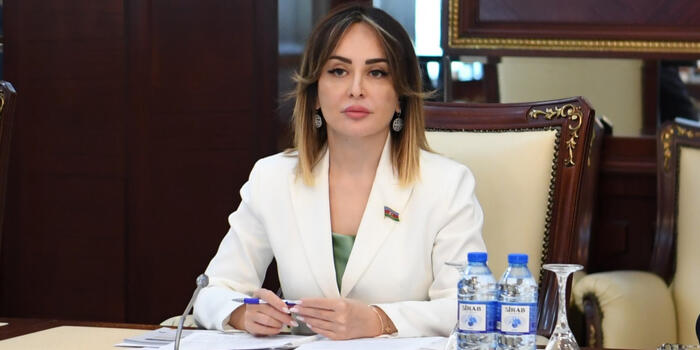 “Ekoloji nəzarət risklərin səviyyəsinə uyğun həyata keçirilməlidir” -NİGAR MƏMMƏDOVA