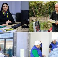 Zəngilanda 800-dən çox şəxs məşğulluq tədbirlərinə cəlb olunub [..] - 11:16