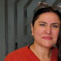 Uşağın cinsiyyətini planlaşdırmaq üçün tibbi imkanlar nələrdir? - MÜSAHİBƏ