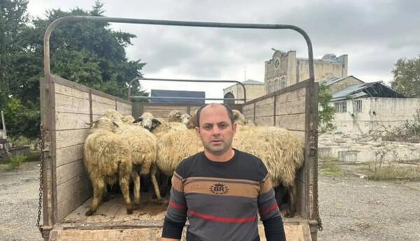 Daha altı rayonda 105 sakinə özünüməşğulluq proqramı çərçivəsində aktivlər təqdim edilib