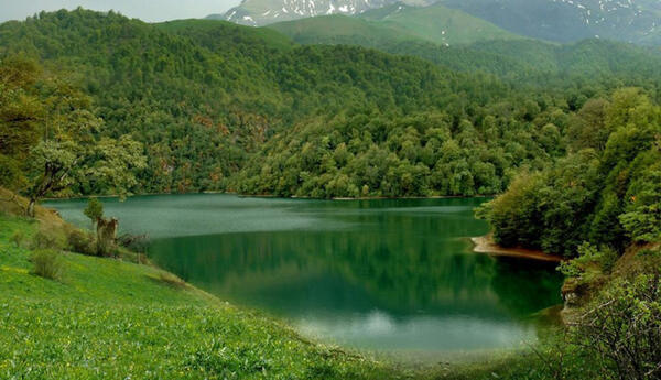 Milli park və qoruqlar niyə yaradılır? <span class="red"> - ANALİZ</span>