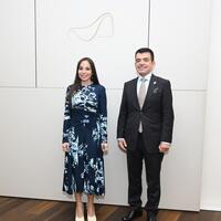 Leyla Əliyeva Səlim bin Məhəmməd əl-Malik ilə görüşüb