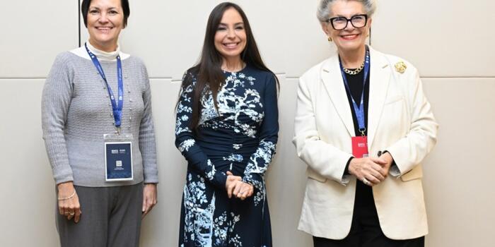 Leyla Əliyeva UNESCO-nun Baş direktorunun müavini ilə görüşüb [..] - 28 Oktyabr 19:46