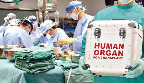 Ürək transplantasiyasının icbari tibbi sığorta hesabına icra edilməsi təklif olunub
